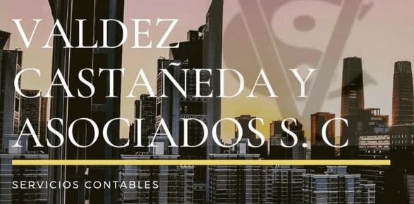 Despachos contables en Tizayuca. Logotipo de Valdez Castañeda.